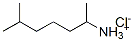 (1,5-dimethylhexyl)ammonium chloride Structure