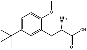 DL-5-(1,1-Dimethylethyl)-2-methoxyphenylalanine Struktur