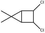 Bicyclo[2.1.0]pentane, 2,3-dichloro-5,5-dimethyl- (9CI) Struktur