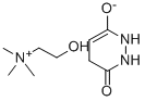 CHOLINEMALEICHYDRAZIDE Struktur