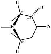 8-Azabicyclo[3.2.1]octan-3-one,2-hydroxy-8-methyl-,endo-(9CI) Struktur