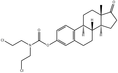 Leo 271 f Struktur