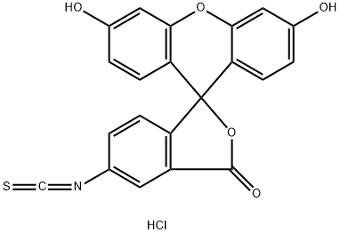 63469-13-6 結(jié)構(gòu)式