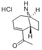 (+)-ANATOXIN A HYDROCHLORIDE Struktur