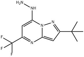 2-(TERT-BUTYL)-7-HYDRAZINO-5-(TRIFLUOROMETHYL)PYRAZOLO[1,5-A]PYRIMIDINE Struktur