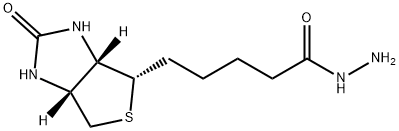 BIOTIN HYDRAZIDE Struktur