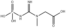 Phosphokreatin