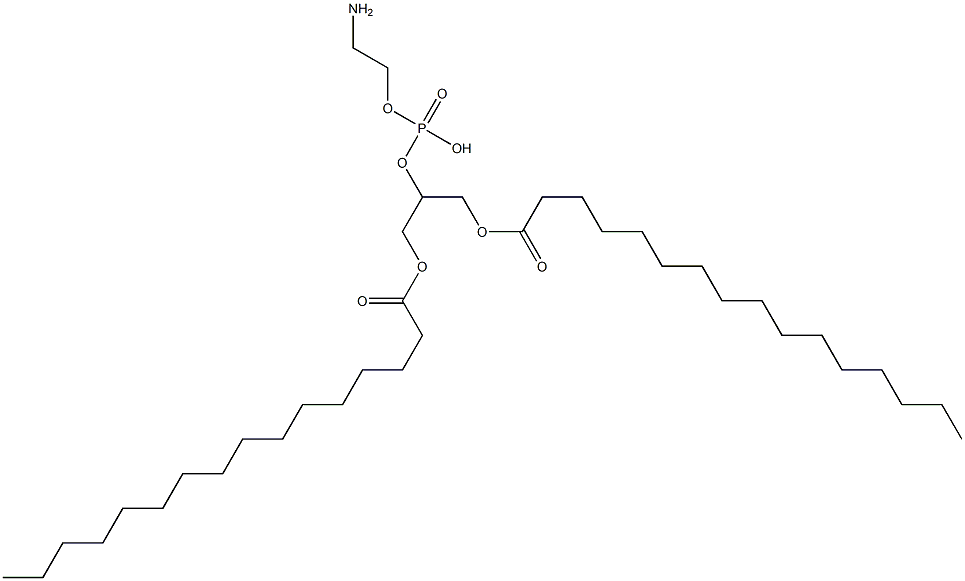 1,3-DIPALMITOYL-GLYCERO-2-PHOSPHOETHANOLAMINE Struktur