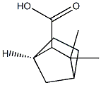 (1R-endo)-3,3-dimethylbicyclo[2.2.1]heptane-2-carboxylic acid Struktur