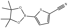 5-氰基噻吩-2-硼酸頻哪醇酯 結(jié)構(gòu)式