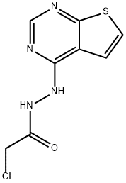 N'1-THIENO[2,3-D]PYRIMIDIN-4-YL-2-CHLOROETHANOHYDRAZIDE Struktur