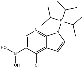 Boronic acid, [4-chloro-1-[tris(1-methylethyl)silyl]-1H-pyrrolo[2,3-b]pyridin-5-yl]- (9CI) Struktur