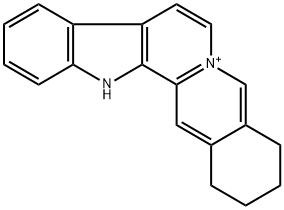 sempervirin