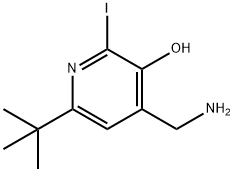 4-(aminomethyl)-6-(1,1-dimethylethyl)-2-iodo-3-pyridinol Struktur