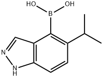 [5-(1-METHYLETHYL)-1H-INDAZOL-4-YL] BORONIC ACID Struktur