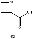 2-AZETIDINECARBOXYLIC ACID, HYDROCHLORIDE Struktur