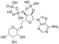 diphosphoribosyl-adenosine monophosphate Struktur