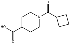 1-(cyclobutylcarbonyl)piperidine-4-carboxylic acid Struktur