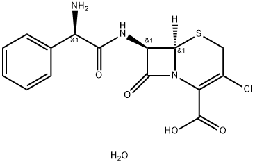 Cefaclor monohydrate price.