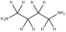 1,4-BUTANE-D8-DIAMINE Struktur