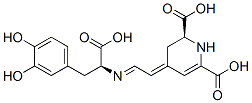 (2S)-4-[(1E,2E)-2-[[(S)-1-Carboxy-2-(3,4-dihydroxyphenyl)ethyl]imino]ethylidene]-1,2,3,4-tetrahydro-2,6-pyridinedicarboxylic acid Struktur