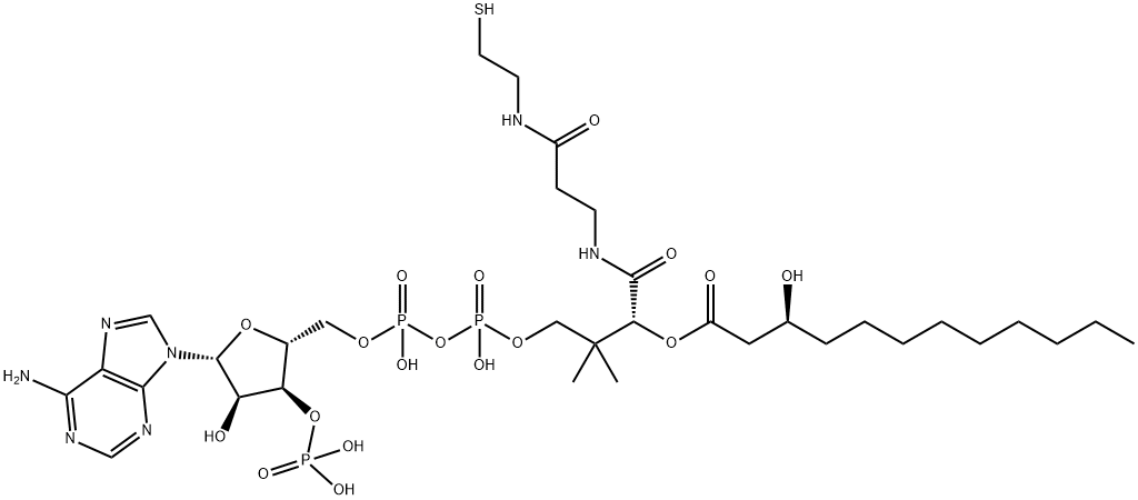 [(2R,3R,4R,5R)-5-(6-aminopurin-9-yl)-4-hydroxy-2-[[hydroxy-[hydroxy-[3-hydroxy-3-[2-[2-[(3S)-3-hydroxydodecanoyl]sulfanylethylcarbamoyl]ethylcarbamoyl]-2,2-dimethyl-propoxy]phosphoryl]oxy-phosphoryl]oxymethyl]oxolan-3-yl]oxyphosphonic acid|