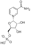 ALPHA-NICOTINAMIDE MONONUCLEOTIDE