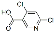 4,6-DichloronicotinicAcid Struktur