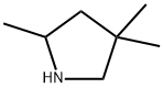 2,4,4-TRIMETHYL-PYRROLIDINE Struktur