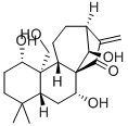 kamebakaurin|KAMEBAKAURINE;KAMEBAKAURIN