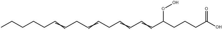 arachidonic acid 5-hydroperoxide Struktur