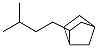 2-(3-Methylbutyl)bicyclo[2.2.1]heptane Struktur