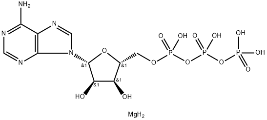 ADENOSINE 5'-TRIPHOSPHATE MAGNESIUM SALT