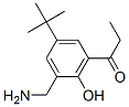 2-aminomethyl-4-tert-butyl-6-propionylphenol Struktur