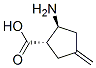 Cyclopentanecarboxylic acid, 2-amino-4-methylene-, (1S,2S)- (9CI) Struktur