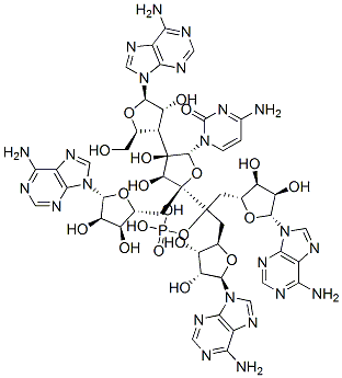 triadenylyl-(2'-3')-adenylyl-cytidylic acid Struktur