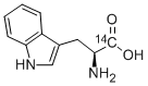 TRYPTOPHAN, L-, [SIDE CHAIN 1-14C] Struktur