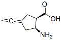 Cyclopentanecarboxylic acid, 2-amino-4-ethenylidene-, (1R,2S)- (9CI) Struktur