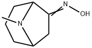 8-Azabicyclo[3.2.1]octan-6-one,8-methyl-,oxime(9CI) Struktur