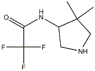 Acetamide, N-(4,4-dimethyl-3-pyrrolidinyl)-2,2,2-trifluoro-, (+)- (9CI) Struktur