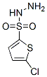 5-CHLOROTHIOPHENE-2-SULFONOHYDRAZIDE Struktur