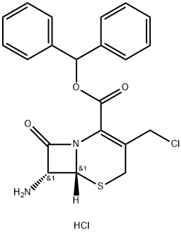 7-ACMA Struktur