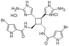 79703-25-6 結(jié)構(gòu)式