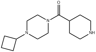 1-cyclobutyl-4-(piperidin-4-ylcarbonyl)piperazine Struktur