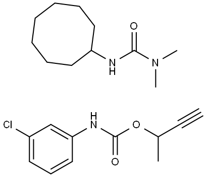 CYCLURON Struktur