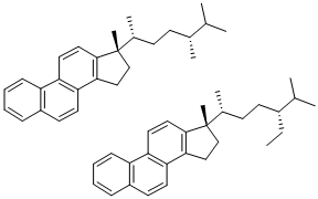 C27/C28 TRIAROMATIC STERANES Struktur