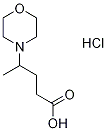 4-morpholin-4-ylpentanoic acid(SALTDATA: HCl) Struktur