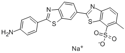 PRIMULINE Struktur