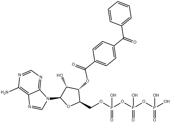 3'-O-(4-benzoyl)benzoyladenosine 5'-triphosphate|3'-O-(4-苯甲?；?苯甲?；佘?5'-三磷酸酯