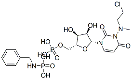 4-(N-2-chloroethyl-N-methylamino)-benzylphosphamide hexauridylate Struktur